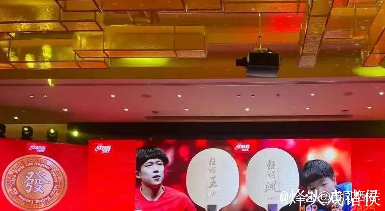 早日恢复健康!王楚钦上车困难无法弯腰! 早日恢复健康!王楚钦上车困难无法弯腰!